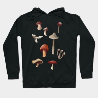 Mushroom Illustration Hoodie